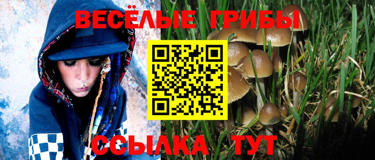 Псилоцибиновые грибы ЛСД  Псилоцибиновые грибы GOLDEN TEACHER  Дмитров  купить наркотики сайты  Вход с VPN 