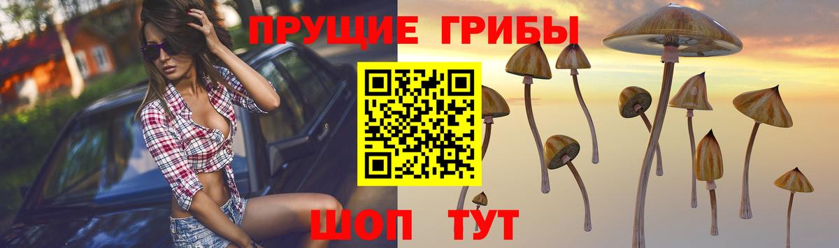 Галлюциногенные грибы мухоморы Дмитров